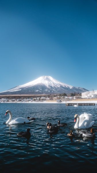 山中湖畔